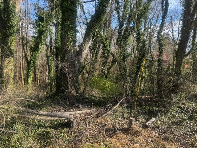 90-acre East Highland Street Blue Ridge, GA 30513 - Photo 2 of 14