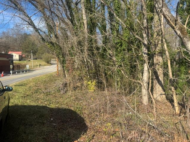 90-acre East Highland Street Blue Ridge, GA 30513 - Photo 7 of 14