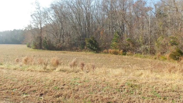 0 Rolling Meadows Run, Unit 3 Exmore, VA 23350 - Photo 1 of 3