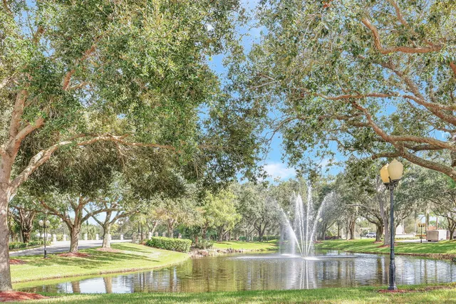 a view of outdoor space with deck and tree