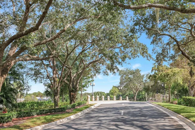 a view of a yard with an trees