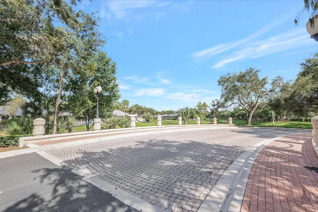 a view of a street with a large trees