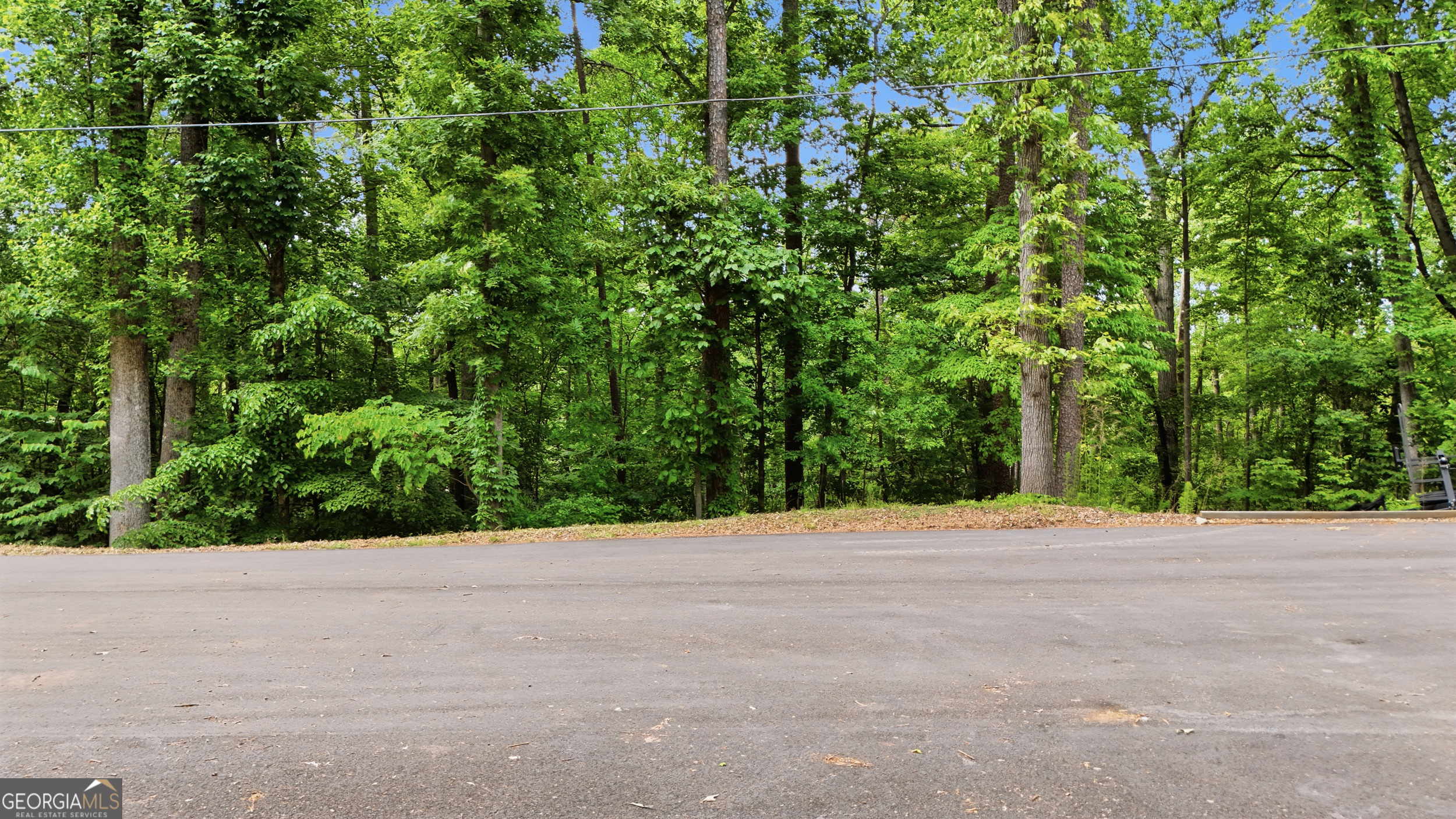 237 Waters Edge Court Martin, GA 30557 - Photo 12 of 33