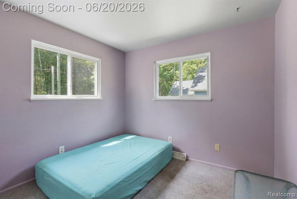 1699 Ditty Road Smiths Creek, MI 48074 - Photo 14 of 43