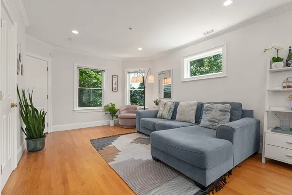 a living room with furniture and a potted plant