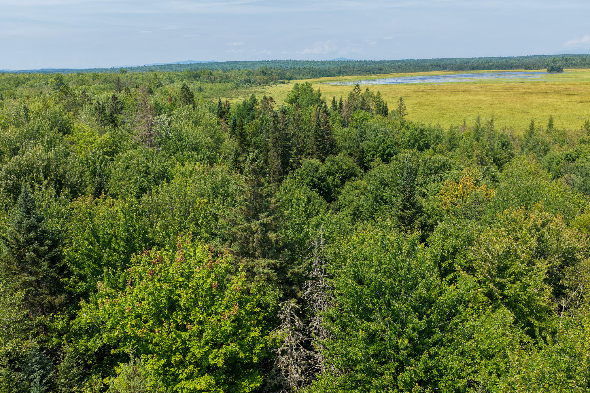 194 Seboeis Road Howland, ME 04448 - Photo 10 of 17 10