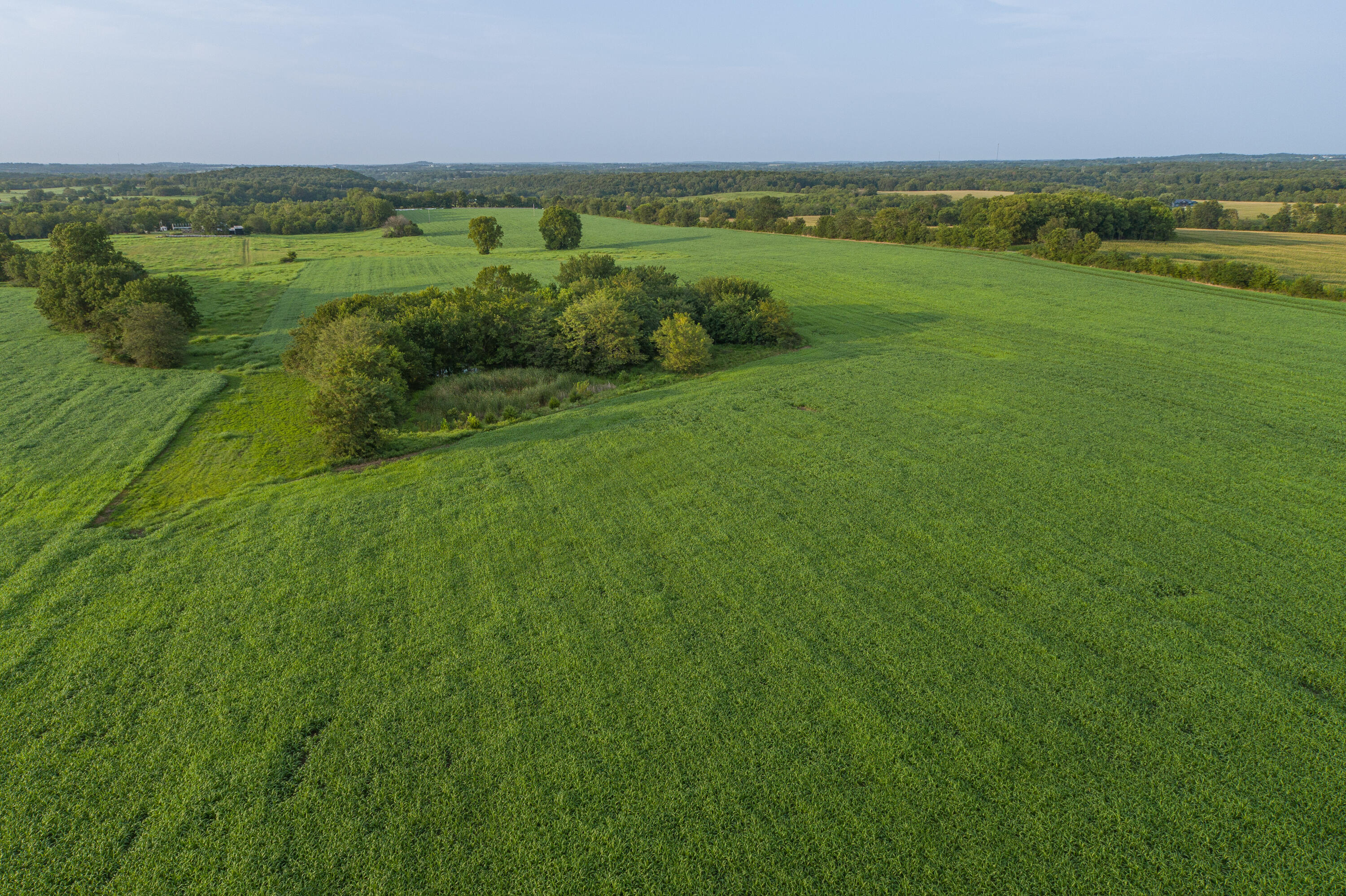 5291 South 127th Road Morrisville, MO 65710 - Photo 81 of 87 5291 S 127th Rd-106
