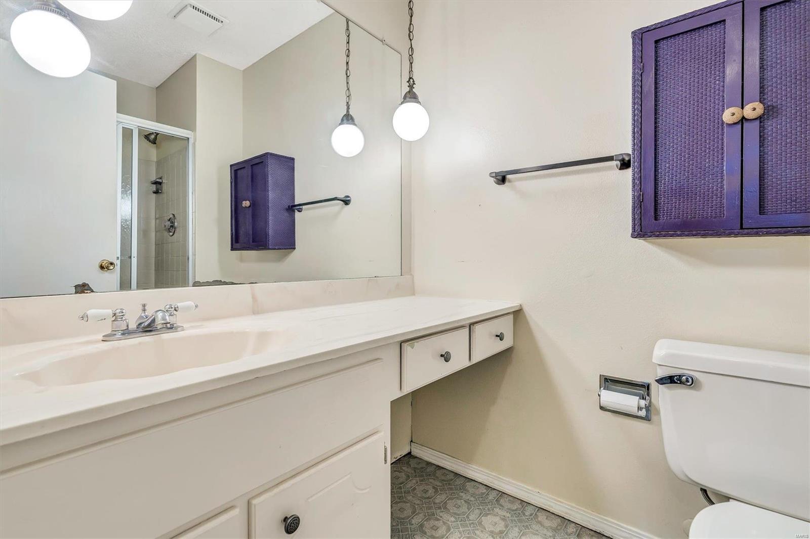 132 Tara Ridge Court Ballwin, MO 63021 - Photo 20 of 39 Gallery Image 20