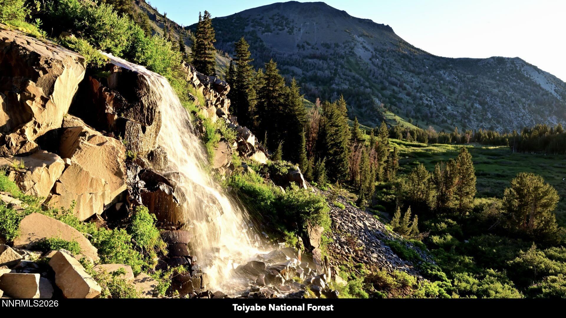0 Genoa Peak Road Genoa, NV 89411 - Photo 14 of 64 a view of a garden
