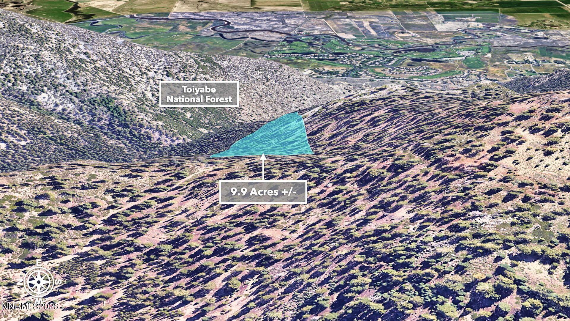 0 Genoa Peak Road Genoa, NV 89411 - Photo 43 of 64 a view of a yard