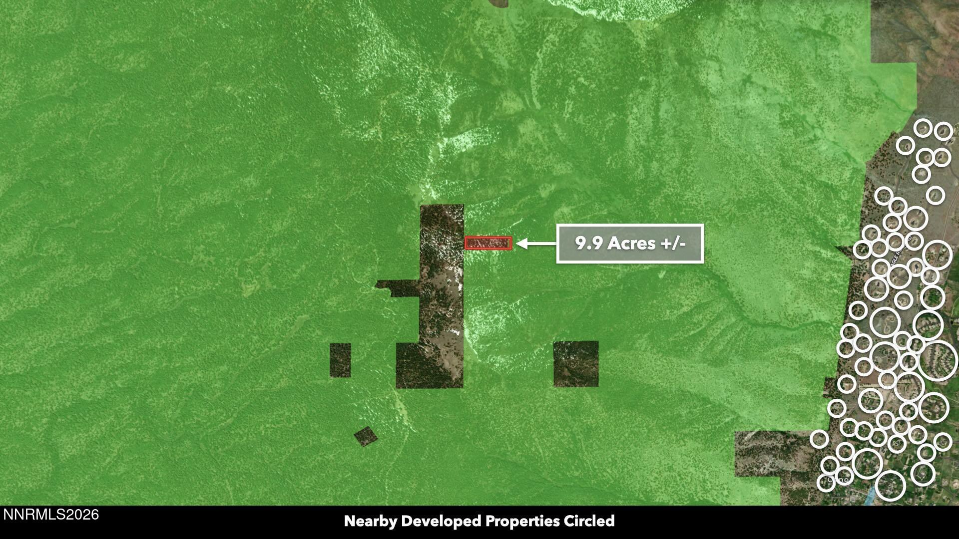 0 Genoa Peak Road Genoa, NV 89411 - Photo 45 of 64 a view of a back yard