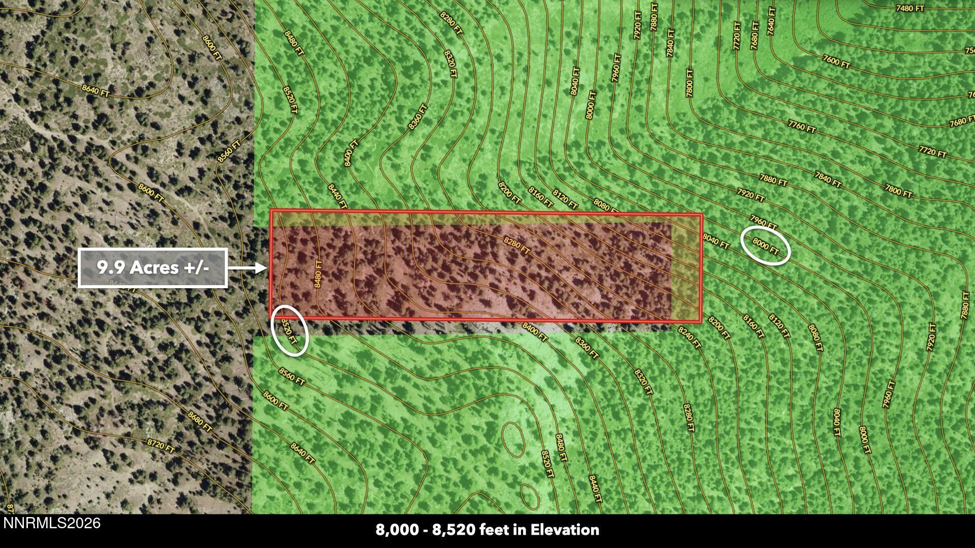 0 Genoa Peak Road Genoa, NV 89411 - Photo 7 of 64 a view of a garden