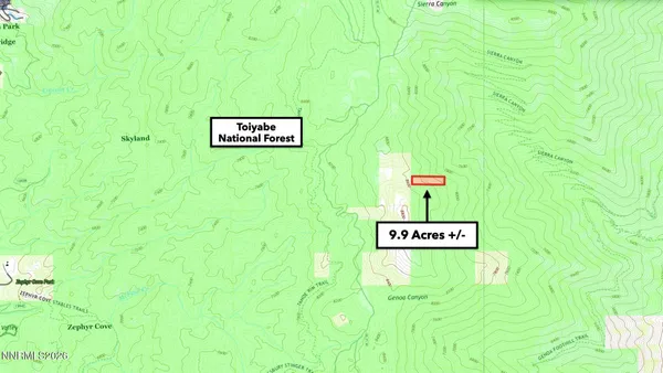 a view of a yard with plants and tree