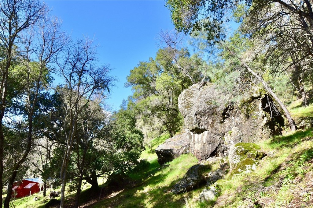 76450 Deer Pass Road Bradley, CA 93426 - Photo 31 of 50 a backyard of a house with lots of green space