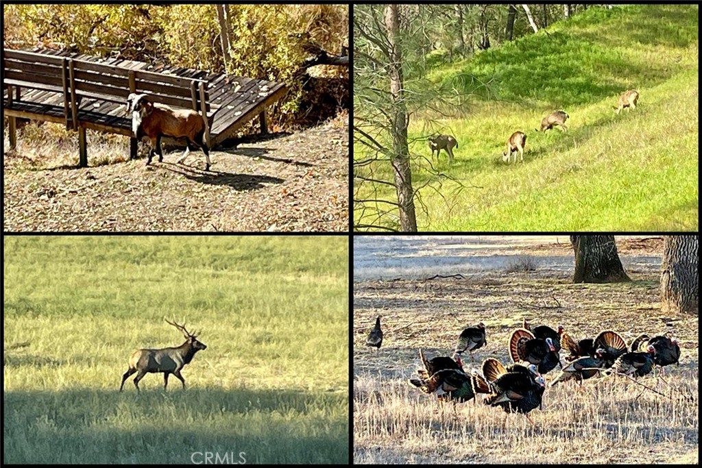 76450 Deer Pass Road Bradley, CA 93426 - Photo 32 of 50 a view of ocean from a window