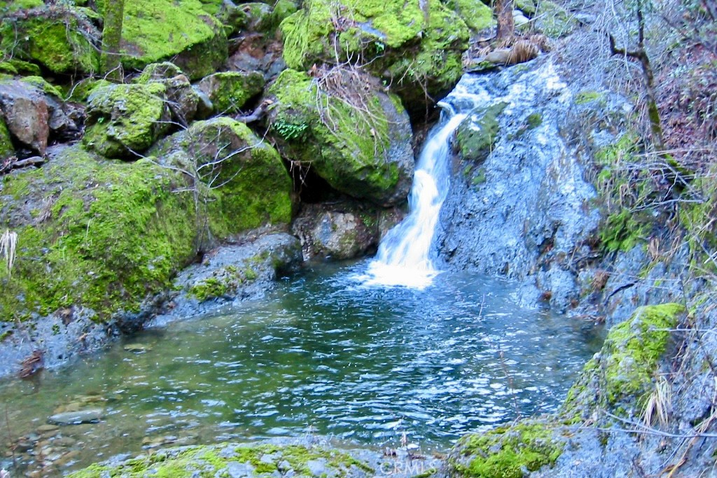76450 Deer Pass Road Bradley, CA 93426 - Photo 40 of 50 a view of a garden with plants