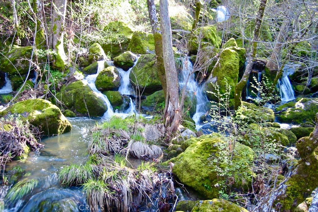76450 Deer Pass Road Bradley, CA 93426 - Photo 41 of 50 a bunch of flowers in a garden