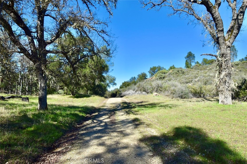 76450 Deer Pass Road Bradley, CA 93426 - Photo 43 of 50 a big yard with lots of green space
