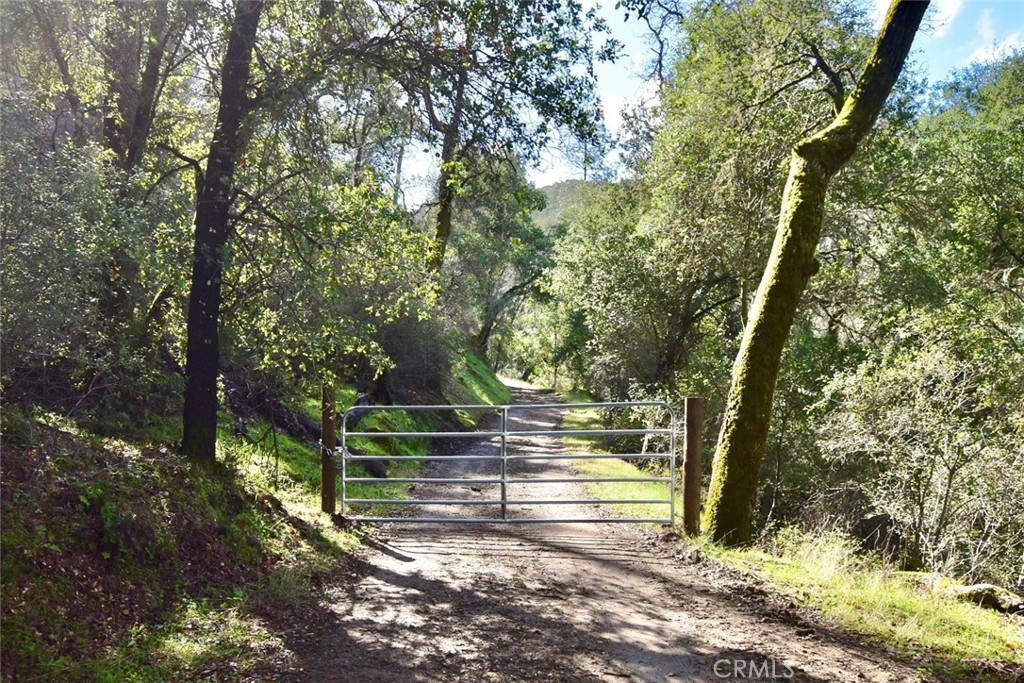 76450 Deer Pass Road Bradley, CA 93426 - Photo 44 of 50 a view of park with trees