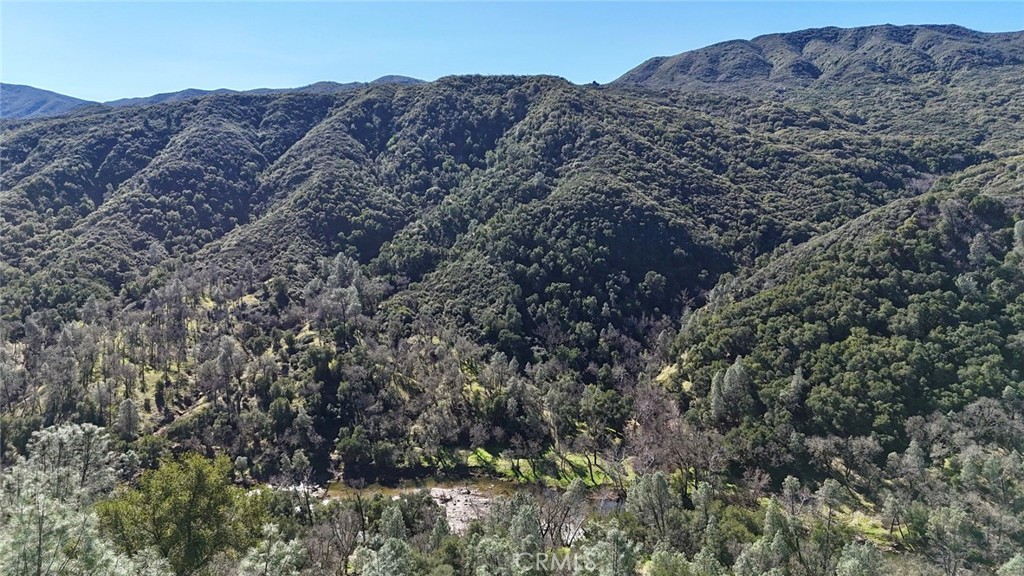 76450 Deer Pass Road Bradley, CA 93426 - Photo 45 of 50