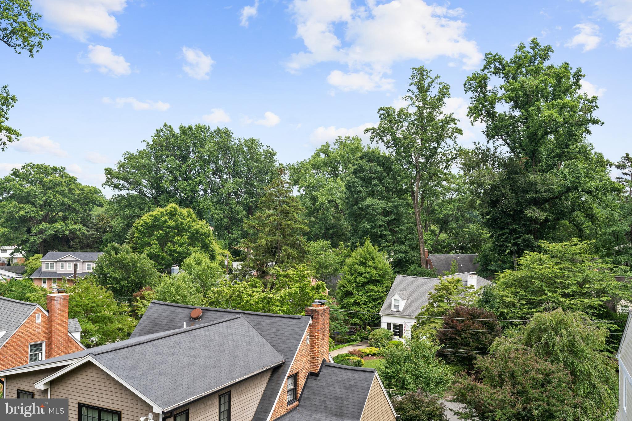 5208 Danbury Road Bethesda, MD 20814 - Photo 64 of 126