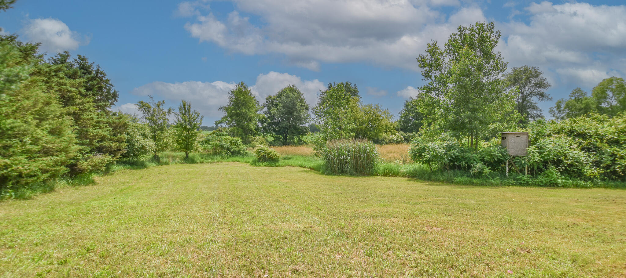 345 North Fremont Road Coldwater, MI 49036 - Photo 44 of 45 DSC_0013-Edit-3