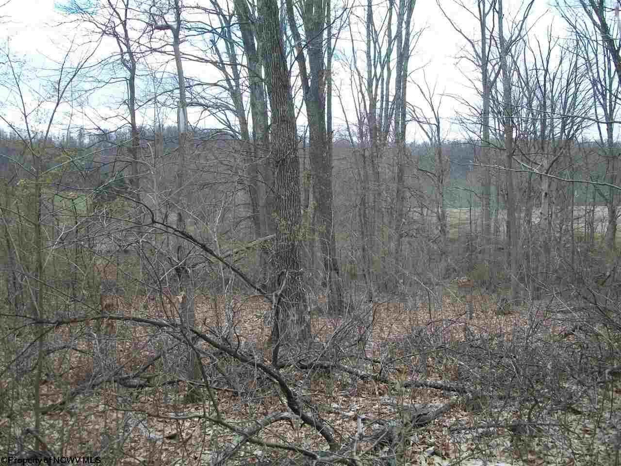 Sand Run Road Philippi, WV 26416 - Photo 8 of 11 Gallery Image 8