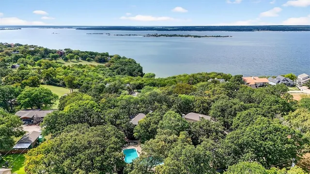 a plant that is in a field