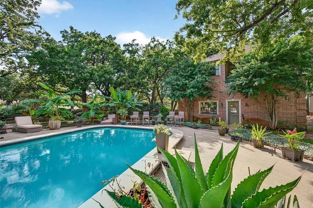 a close up of a plant in a kitchen