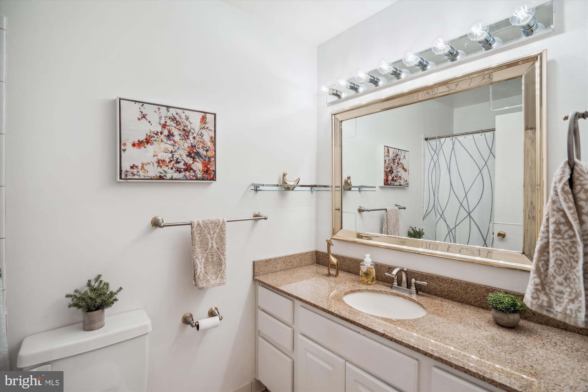 5447 Woodenhawk Circle Columbia, MD 21044 - Photo 29 of 51 TUB SHOWER & GRANITE VANITY W/ STORAGE IN FULL BA