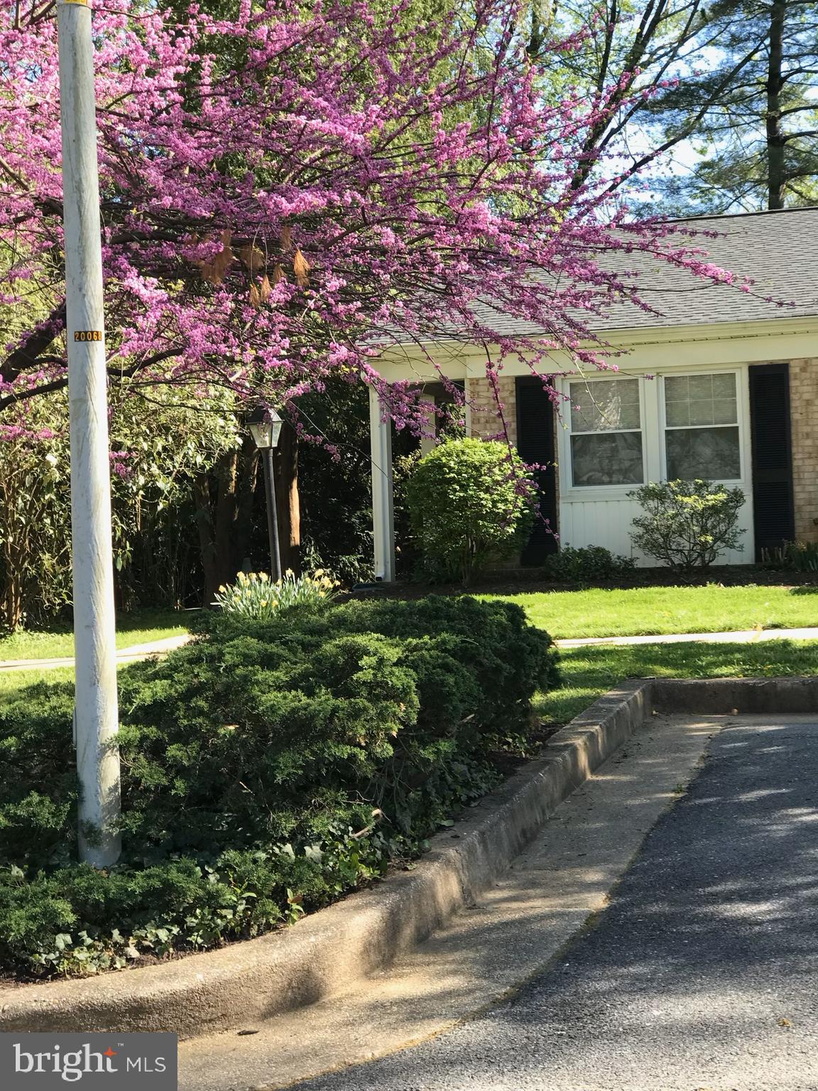 5447 Woodenhawk Circle Columbia, MD 21044 - Photo 30 of 51 BEAUTIFUL SPRING BLOOMS