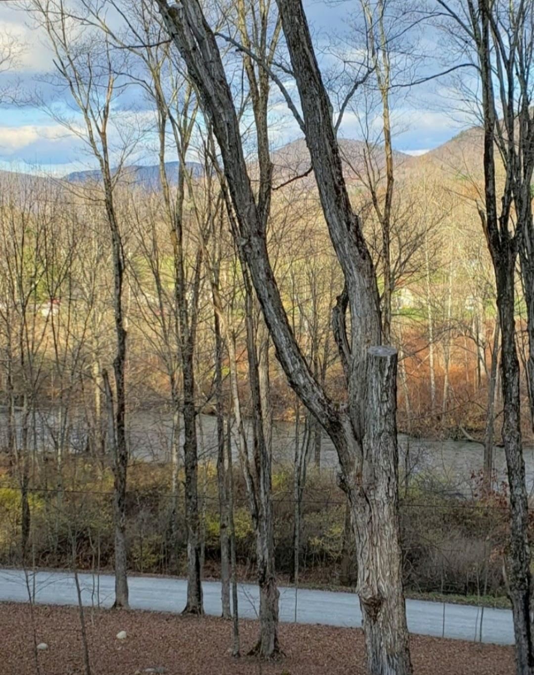 3263 River Road Arlington, VT 05250 - Photo 10 of 26 Gallery Image 10