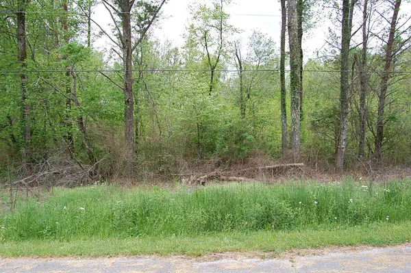 $12,900 | 66 51st Avenue, Gruetli Laager, TN 37339