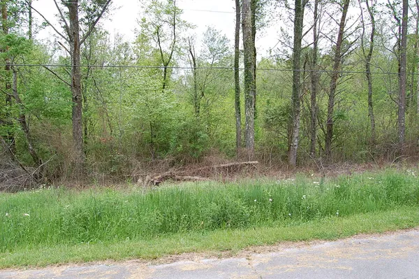 $12,900 | 66 51st Avenue, Gruetli Laager, TN 37339