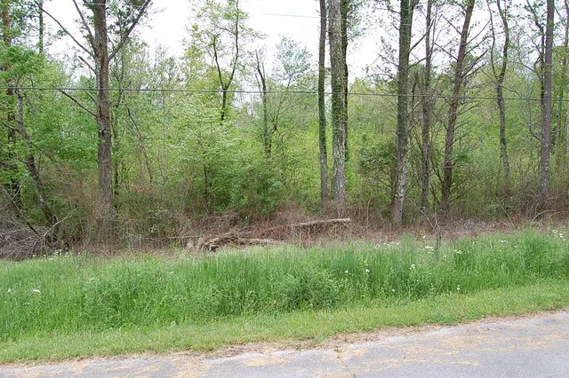 $15,900 | 66 51st Avenue, Gruetli Laager, TN 37339