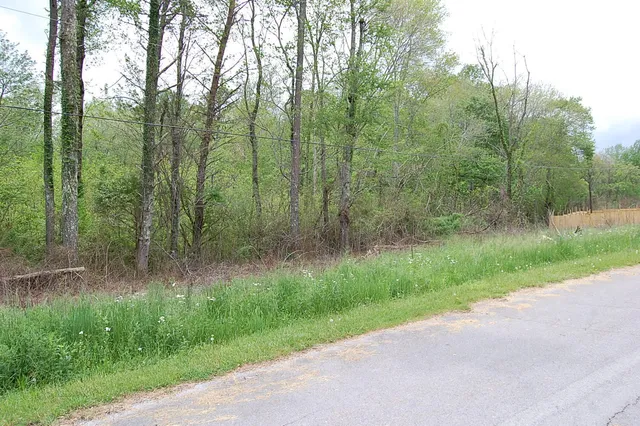 $15,900 | 66 51st Avenue, Gruetli Laager, TN 37339