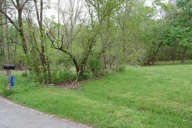 $15,900 | 66 51st Avenue, Gruetli Laager, TN 37339