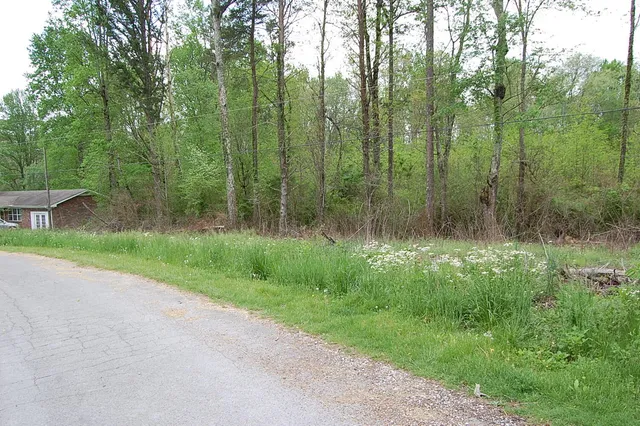 $15,900 | 66 51st Avenue, Gruetli Laager, TN 37339