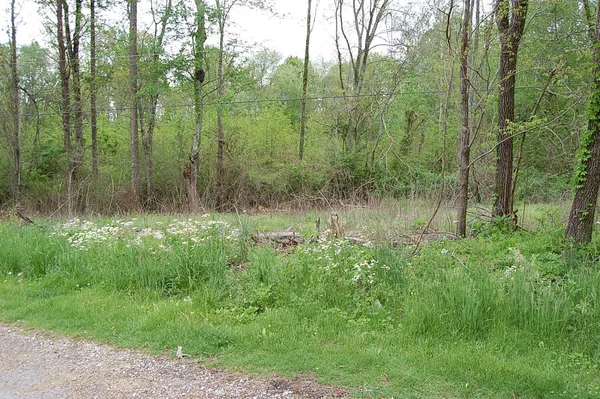 $12,900 | 66 51st Avenue, Gruetli Laager, TN 37339