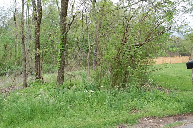 $15,900 | 66 51st Avenue, Gruetli Laager, TN 37339