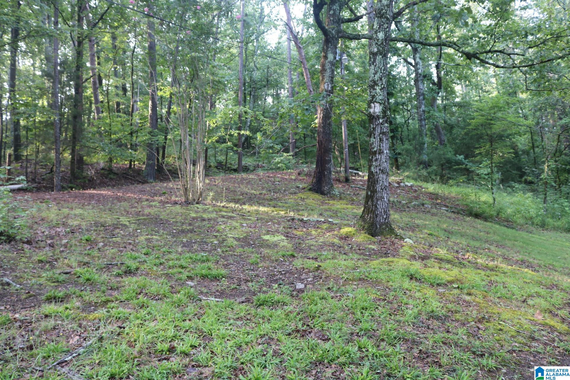 3566 15th Street Road Bessemer, AL 35023 - Photo 7 of 37