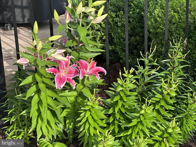 $899,000 | 42798 Macbeth Terrace, Ashburn, VA 20148