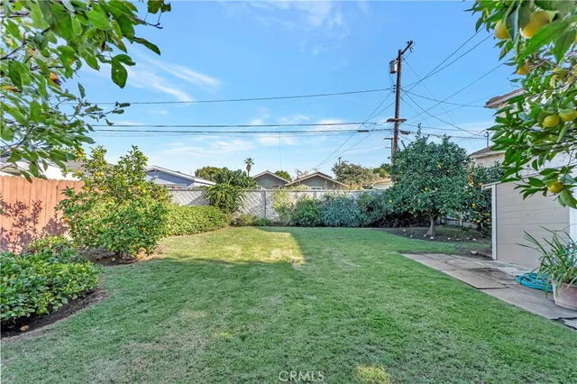a view of a yard with a tree