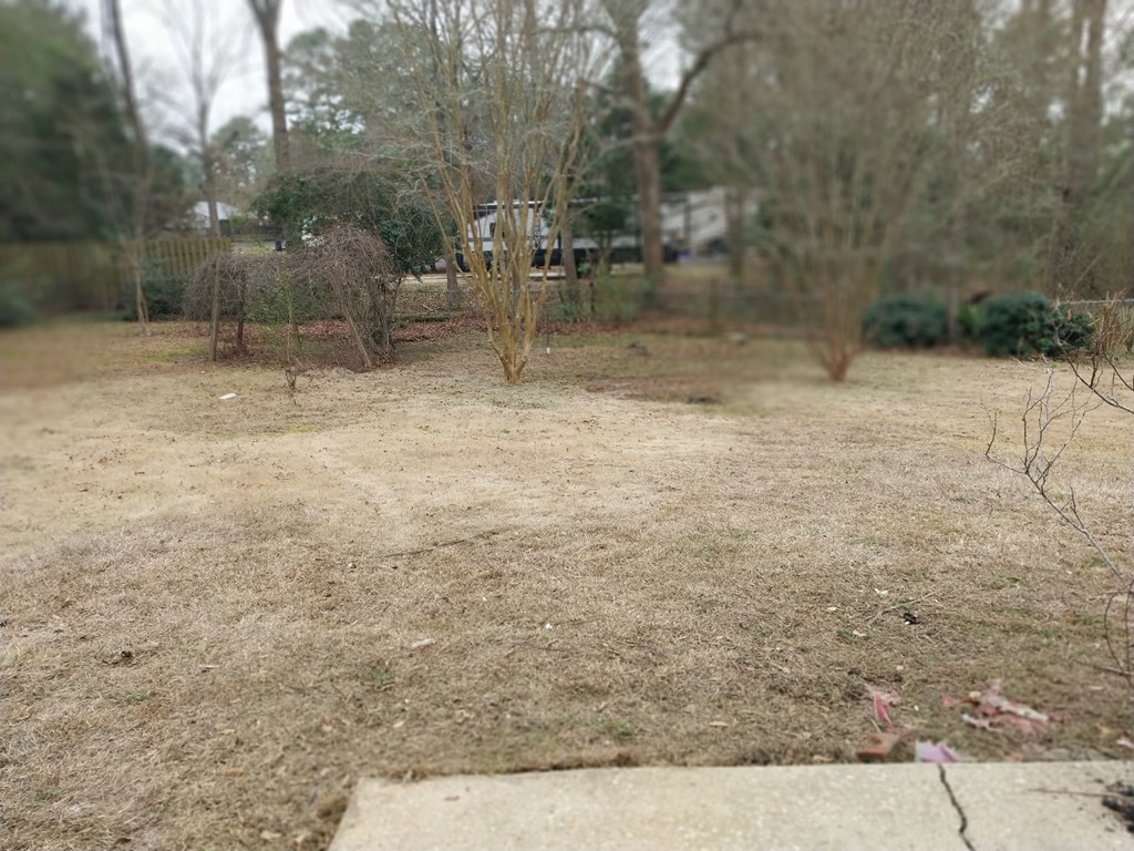 1983 Marley Mill Road Ozark, AL 36360 - Photo 21 of 21