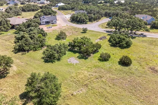 a view of a yard with plants