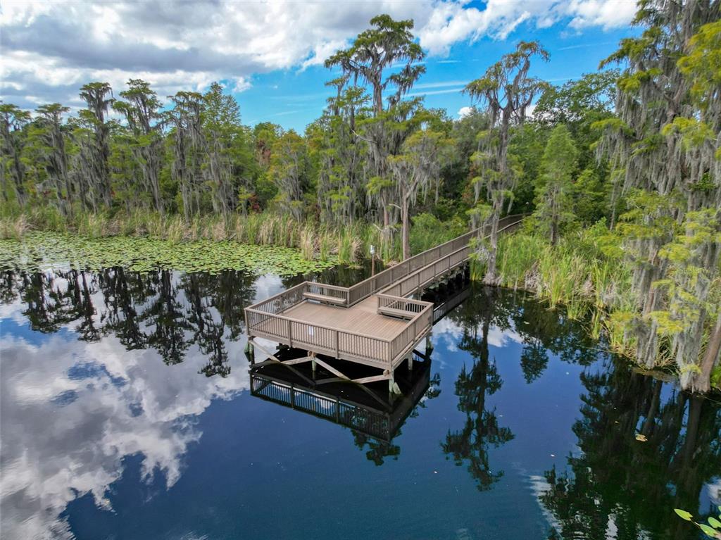 11143 Ragsdale Court New Port Richey, FL 34654 - Photo 91 of 98 Gallery Image 91