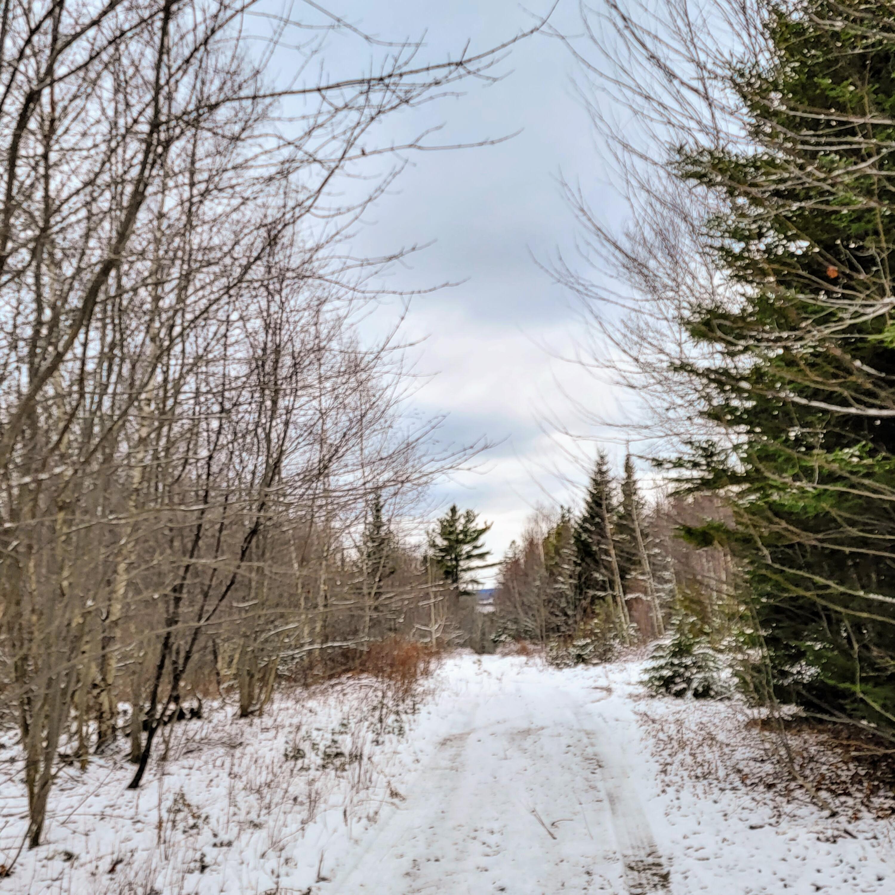 0 Ashville Road Sullivan, ME 04664 - Photo 18 of 42 20211129_124001