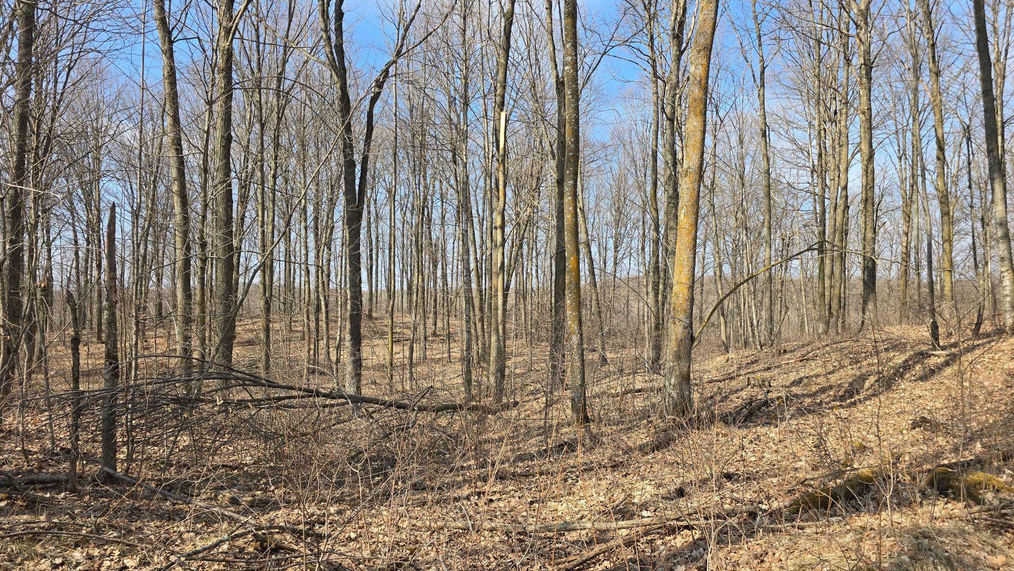 W6280 Sherry Road Bryant, WI 54418 - Photo 64 of 73 Gallery Image 64