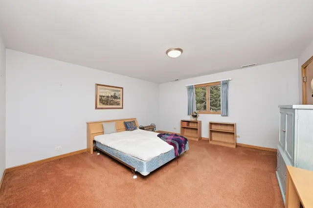 a room with furniture and a potted plant