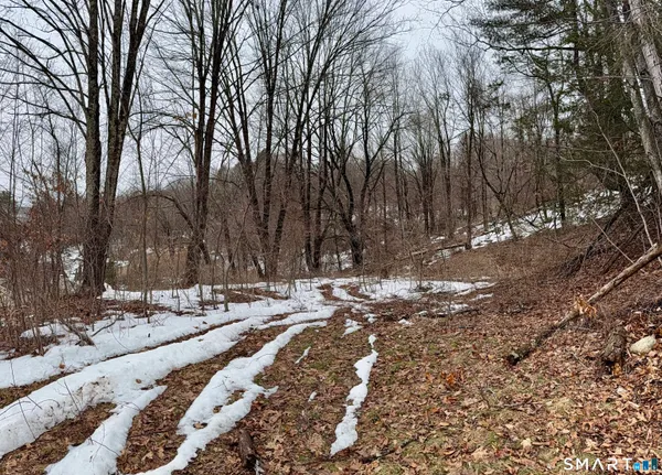 a backyard of a house with trees all around
